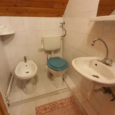 In - Balaton 43123 *