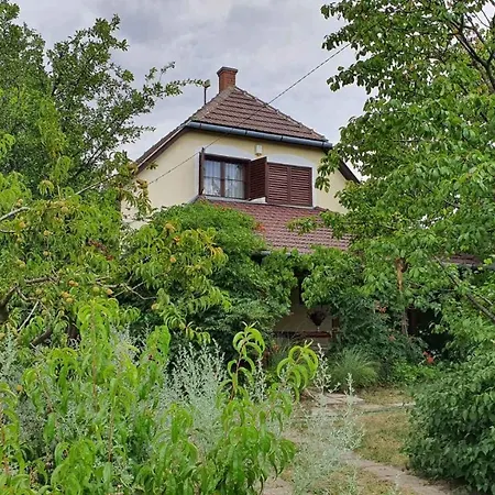Holiday In - Balaton 43123 Feriehus