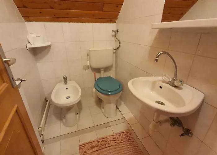 In - Balaton 43123 *