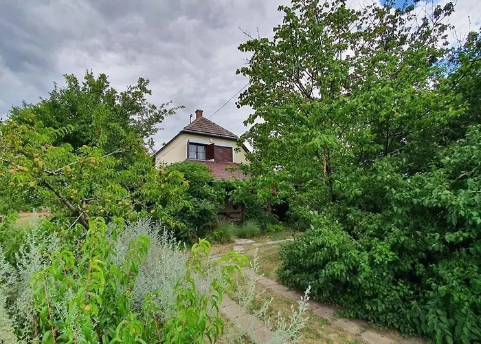 In - Balaton 43123 * שיופוק