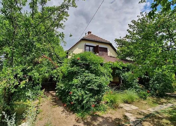 In - Balaton 43123 שיופוק